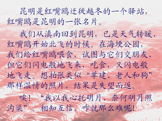 点击查看原图